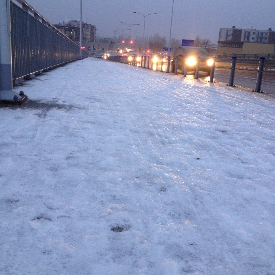 Fot. Profil ZDM na Facebooku