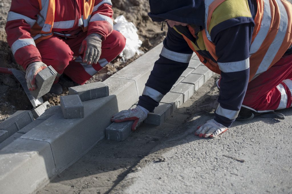 02175016-rembielinska-krawezniki-2_1455719079