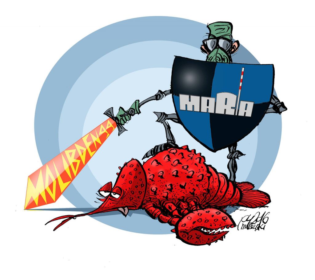 Fot. Narodowe Centrum Badań Jądrowych / Facebook