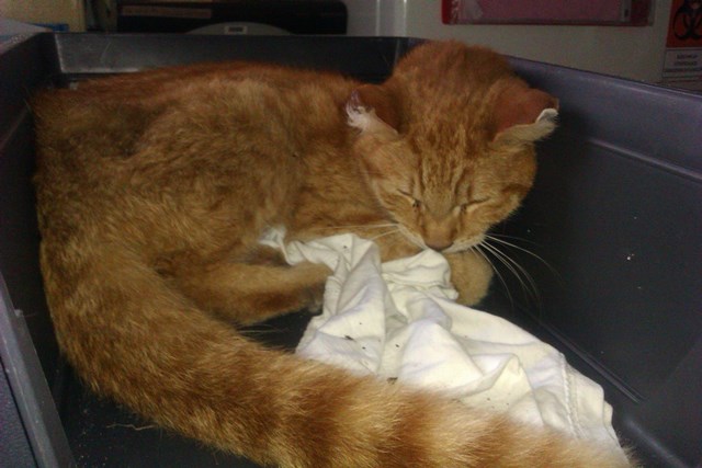 Fot. Referat ds. Ekologicznych