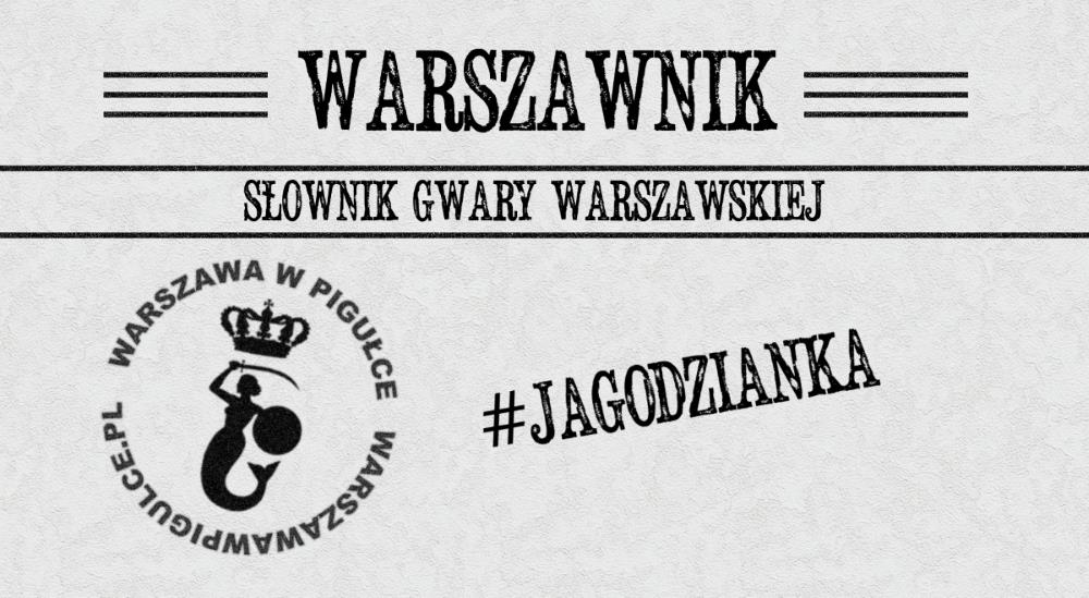 Grafika: Warszawa w Pigułce