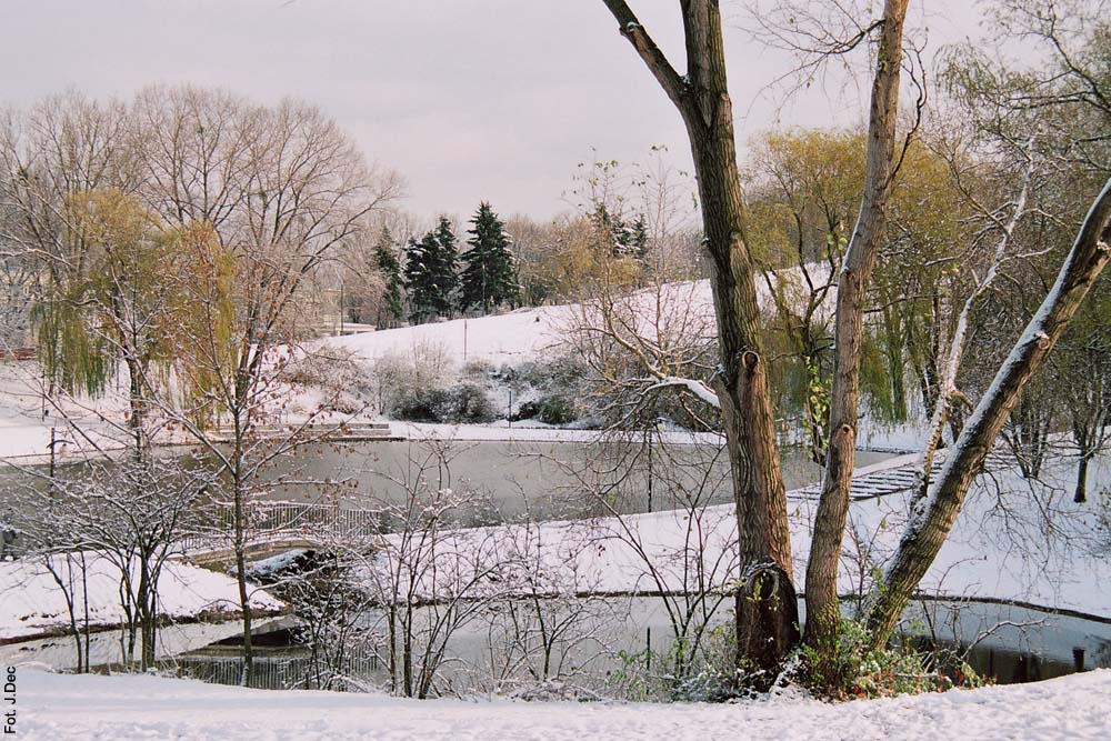 Fot. J. Dec/ Wikipedia