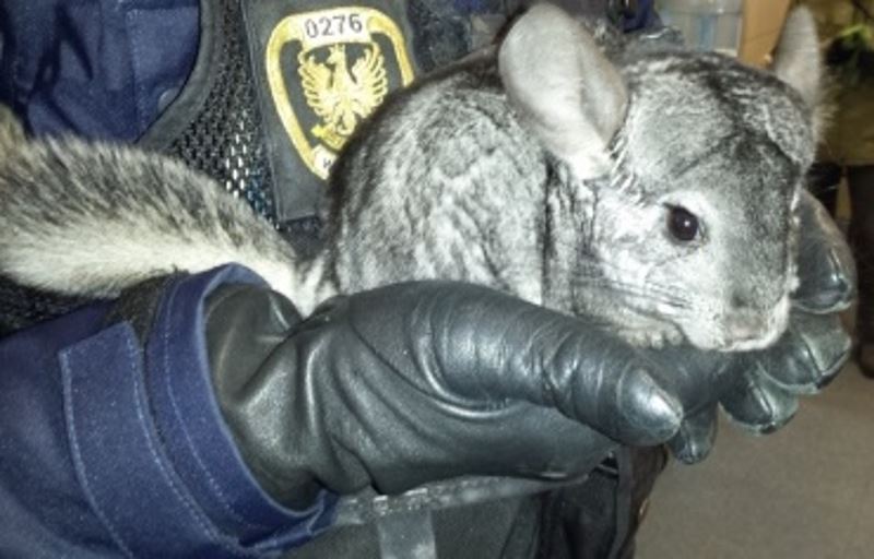 insp. Maciej Jankowski, Referat ds. Ekologicznych Straży Miejskiej m.st. Warszawy