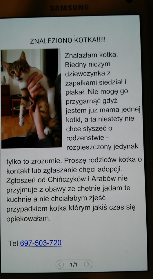 13001293_1016032988483649_8216671598365133592_n