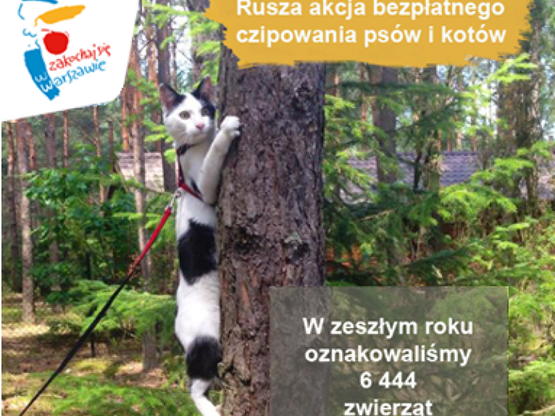 995334_10153595812071270_5124452452958700912_n_2