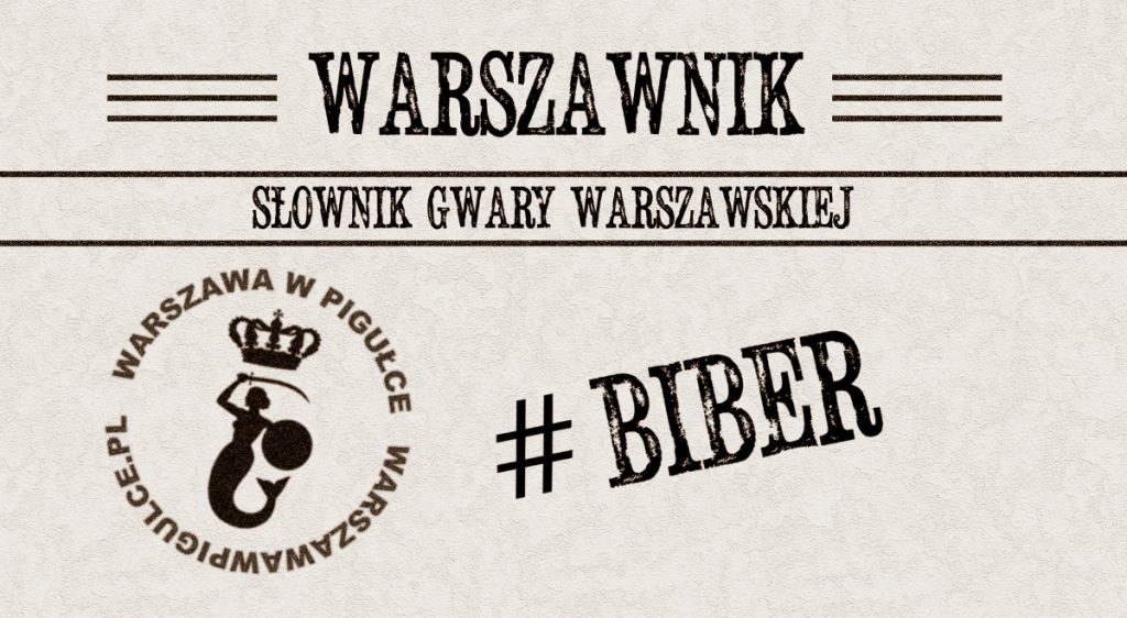 Grafika: Warszawa w Pigułce