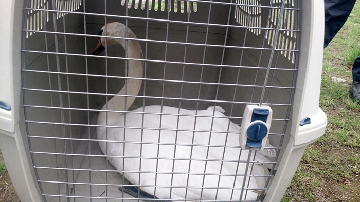 Fot. Jarosław Kozłowski / Eko Patrol