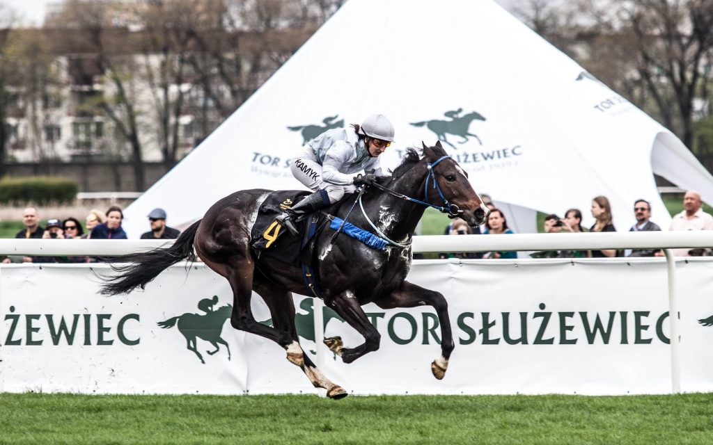 Fot. materiały prasowe