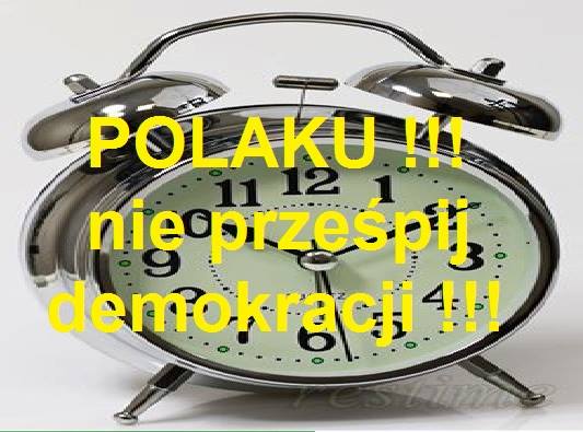 13227093_243202112702680_8921384860415612381_n