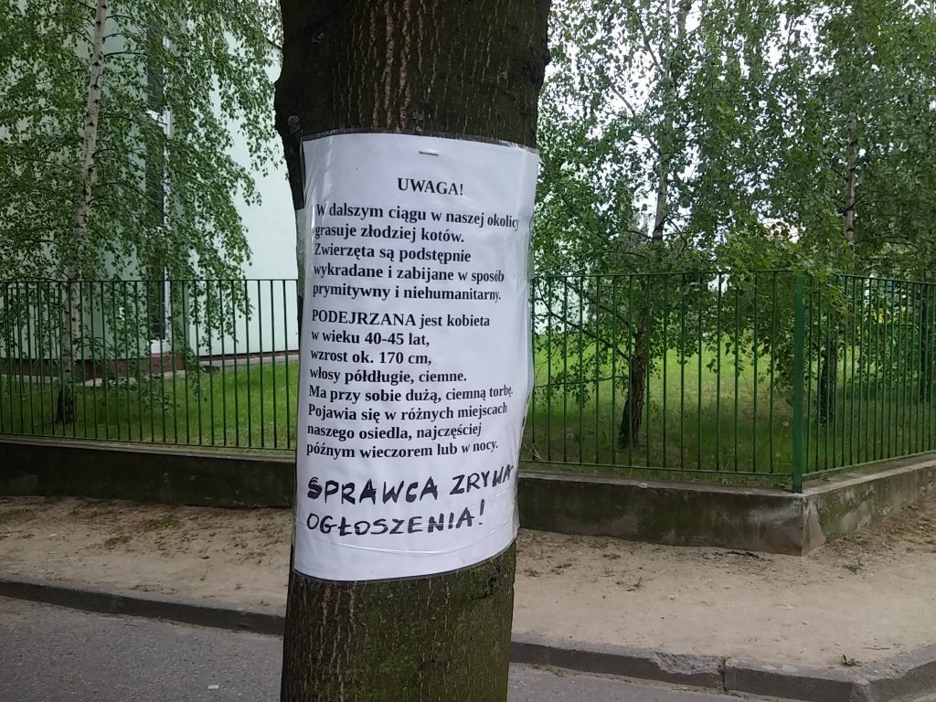 Fot. Ursynów TV/Facebook