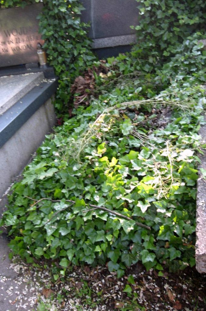 Grób Ireny Rokicińskiej. Fot. Paweł Tomczyk