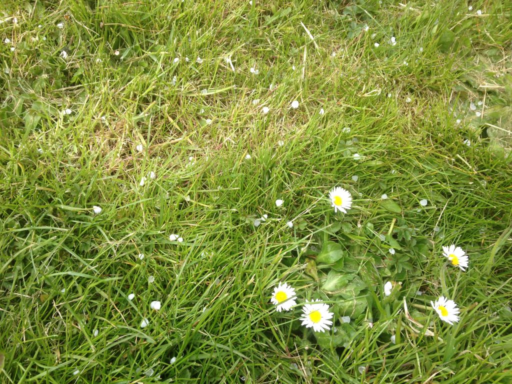 Fot. Warszawa w Pigułce