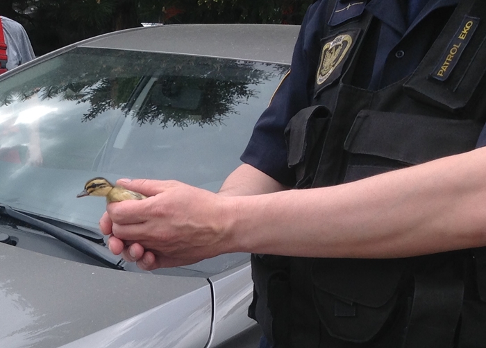 Fot. Agnieszka Drajkowska, Referat ds. Ekologicznych