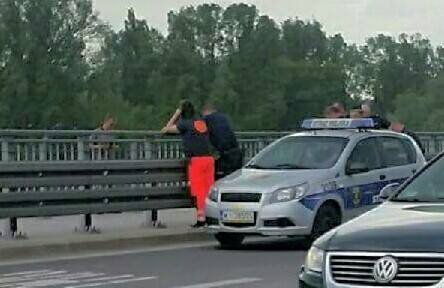 13327436_1733136603629392_223944866073222779_n