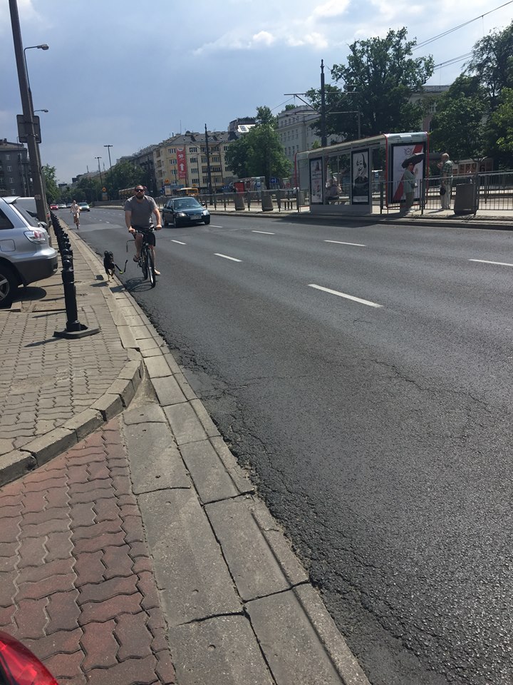 Fot. Katarzyna Tomaszkiewicz