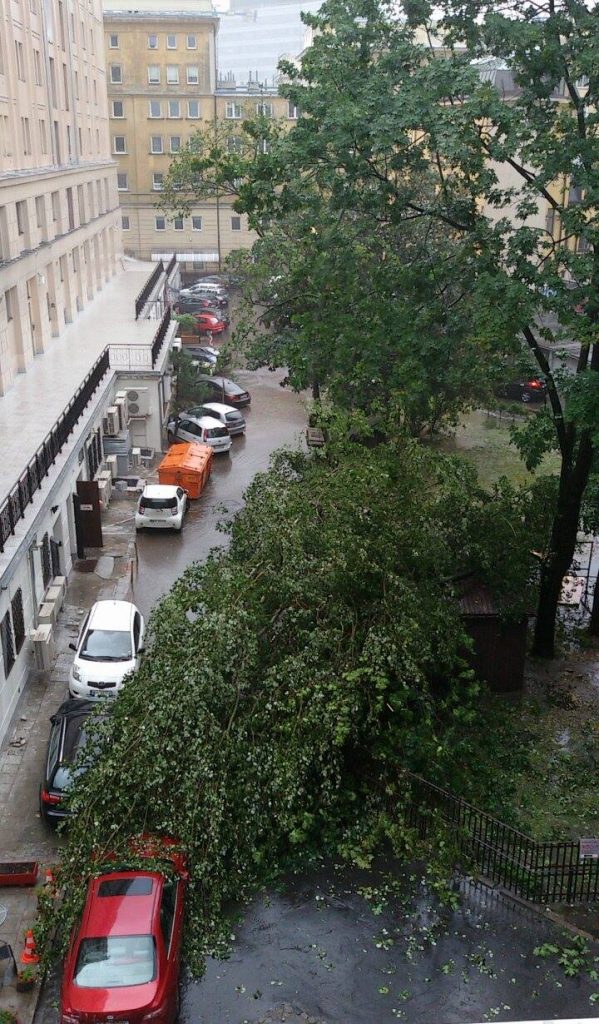 13460933_1369161529779591_476745580_o