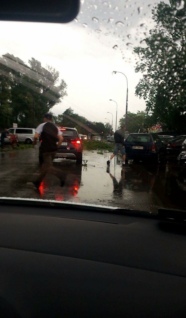 Magdalena Patryca/ Bakalarska