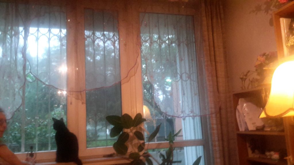 Dawid Aleksander Piotr Rolewski