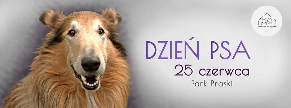 13522529_1220872444591092_1490848110_n