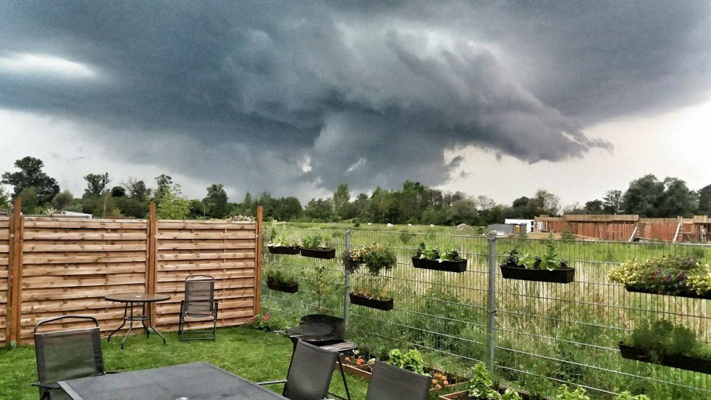 Fot. Kamila Staniszewska