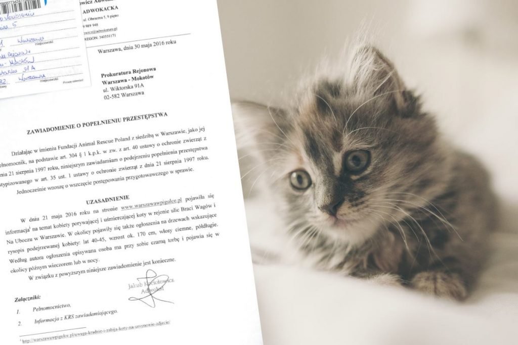 Fot. Pixabay / Animal Rescue Poland