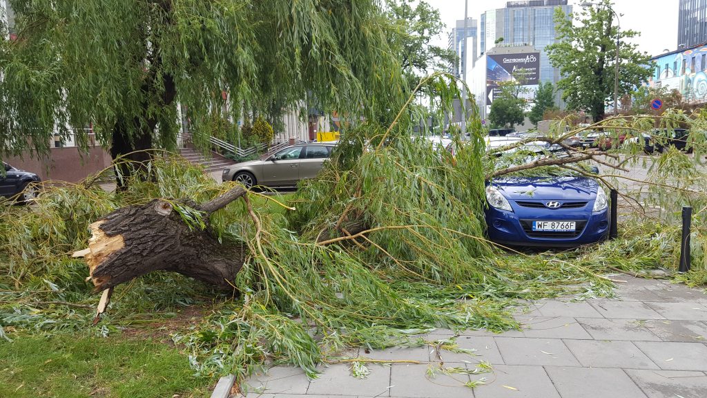 Ul. Karolkowa 2, Fot. Karniec