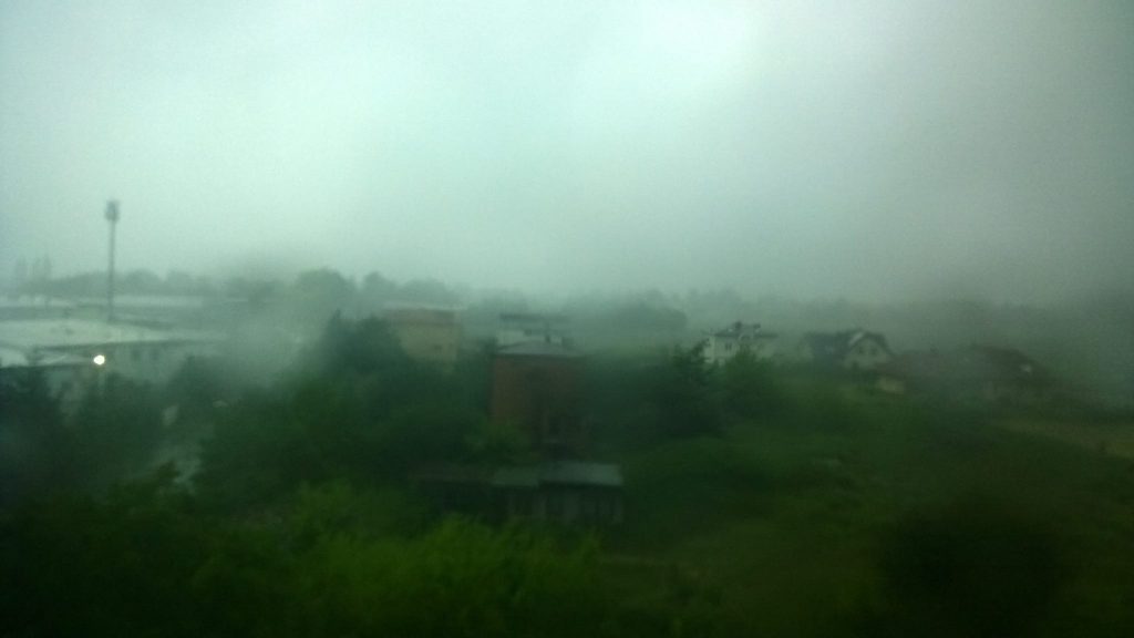 Ursus. Fot. Monika Mazuś