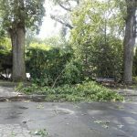 Fot. Warszawskie ZOOimage