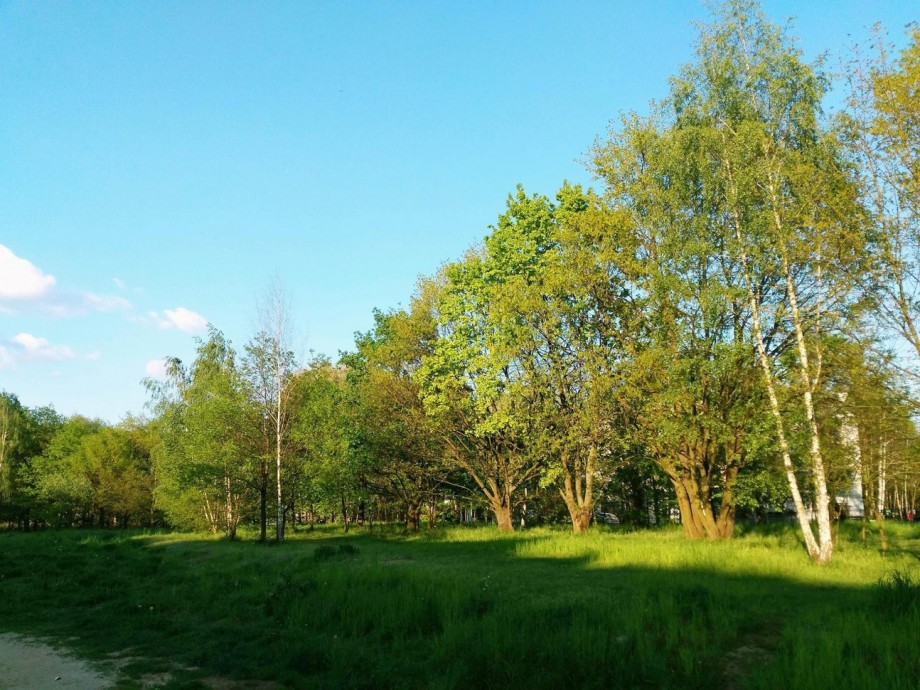 Fot. Materiały inicjatora