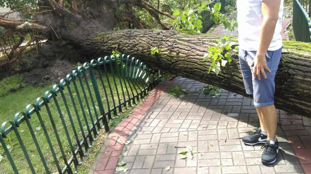 Magda Jabłońska / Wilcza między Kruczą i Marszałkowską