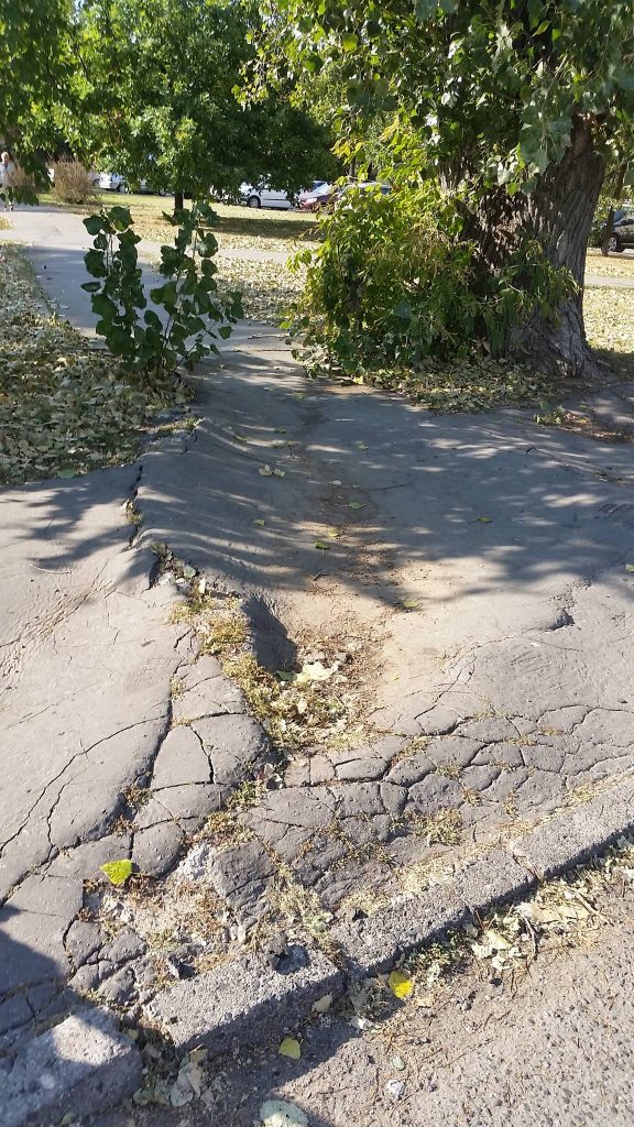 Fot. Czytelnik Kamil