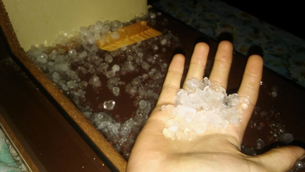 Fot. Katarzyna Brudman