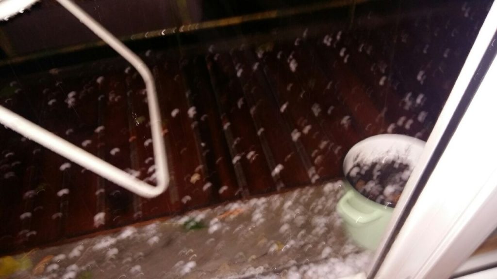 Fot. Martyna Rowińska