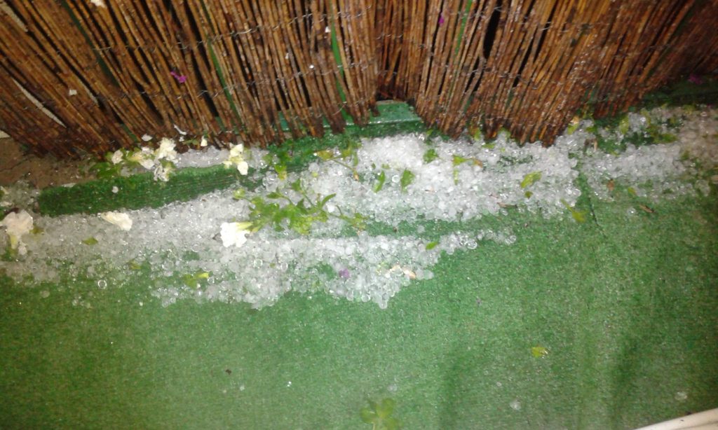 Fot. Patrycja Karaś