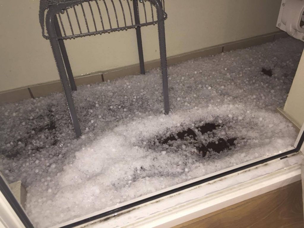 Fot. Paula Łukasiuk