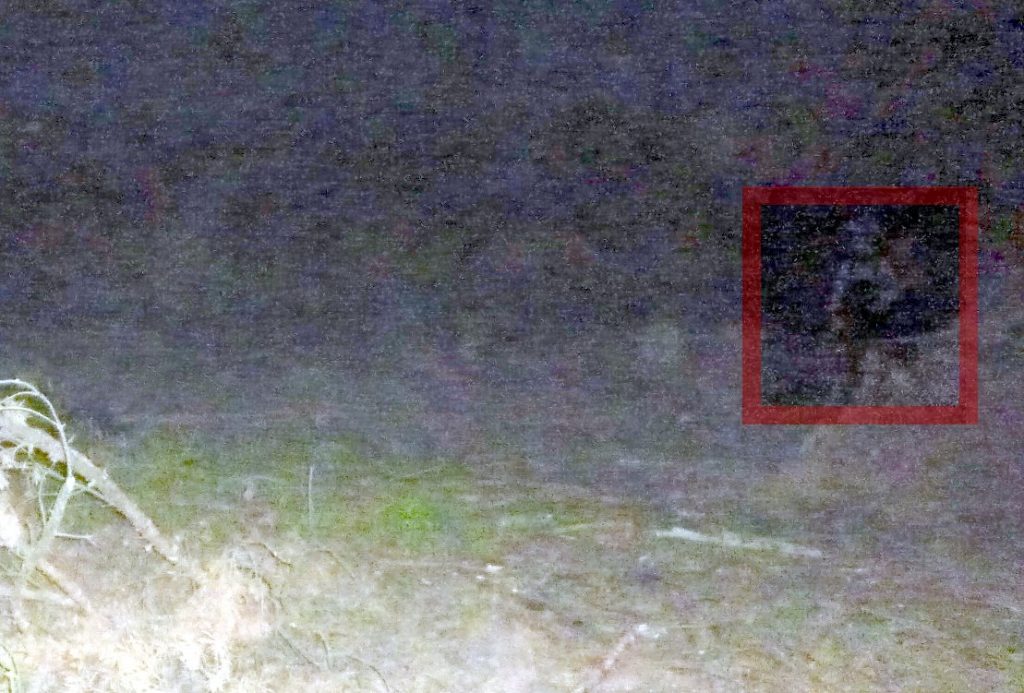 Tak wygląda zdjęcie z automatycznym rozmieszczeniem kolorów i zwiększonym kontrastem. Fot. Czytelnik Damian