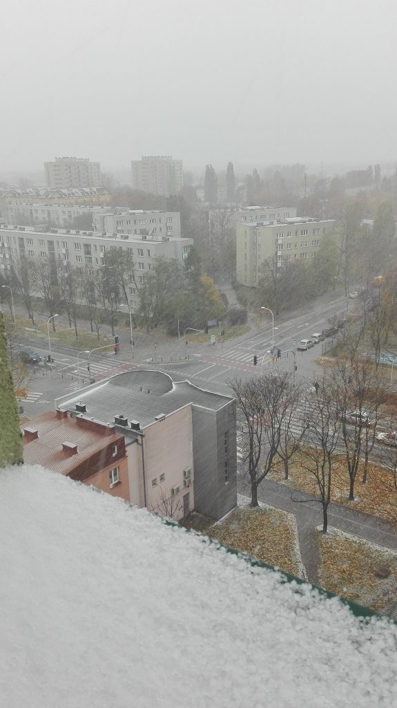 Fot. Michał Jeżyna/Bródno