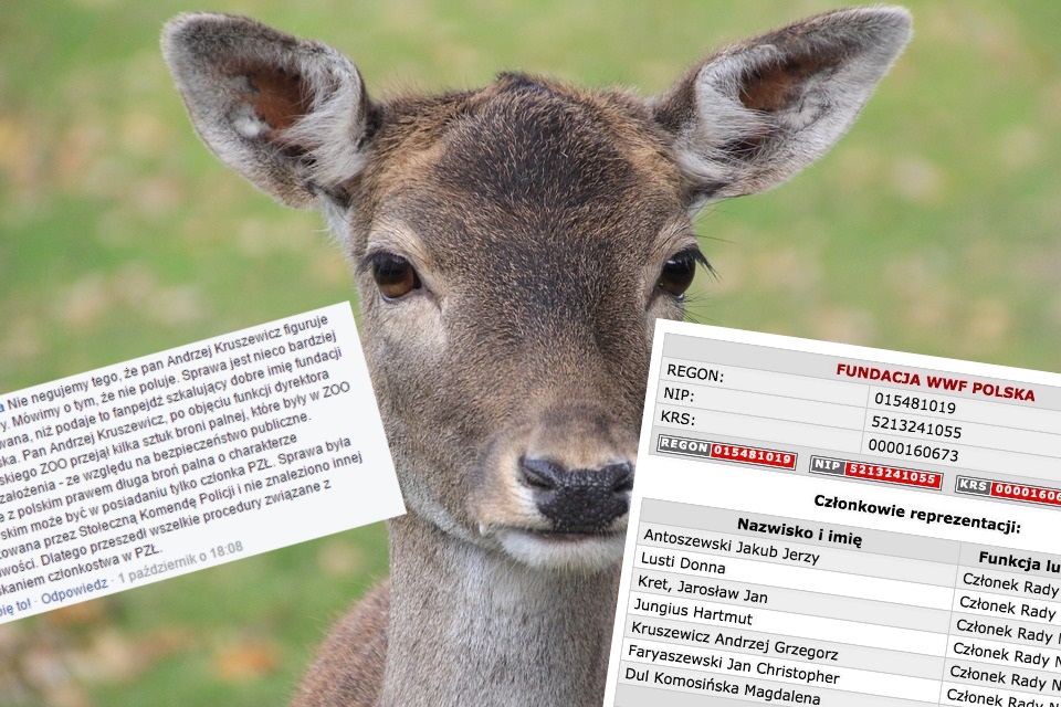 Fot. Pixabay / Facebook