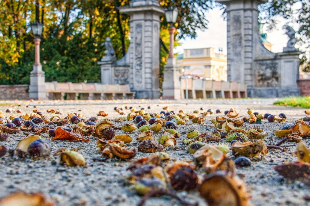 Fot. Monika Klimowicz / Materiały prasowe