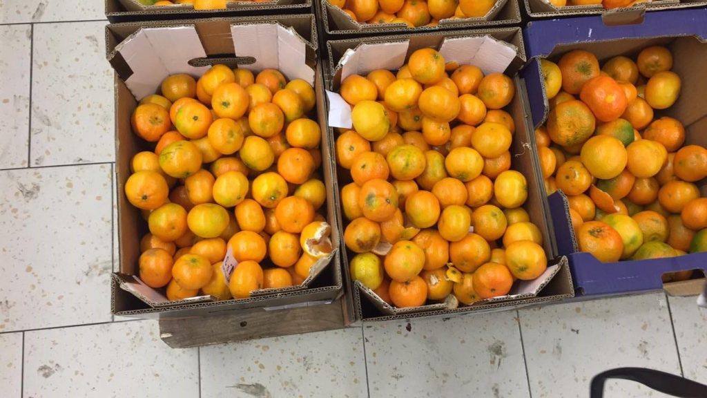 Fot. Warszawa w Pigułce