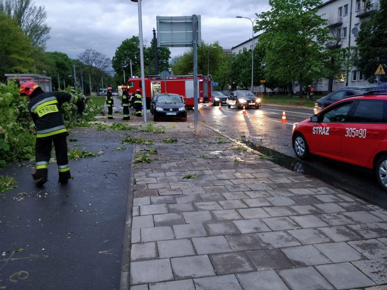 Runęło drzewo na Pradze. Jeden samochód został uszkodzony