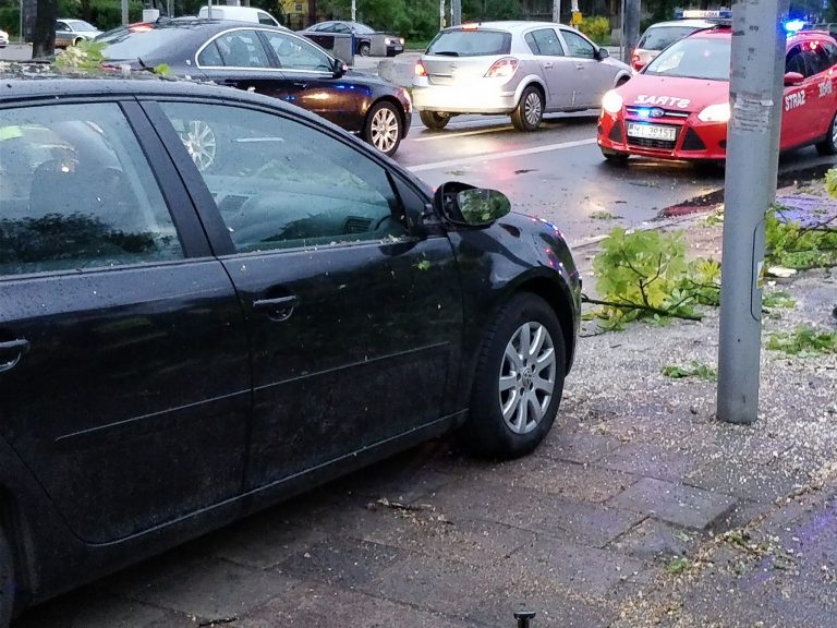 Runęło drzewo na Pradze. Jeden samochód został uszkodzony