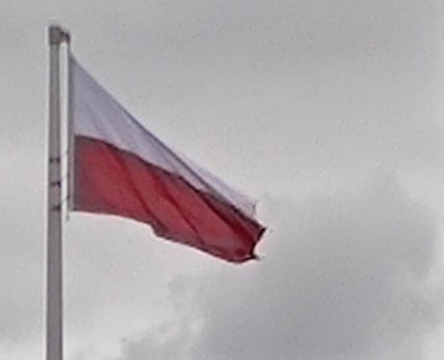 Skandal pod siedzibą RPO. Polskie godła wyrzucone do śmieci? Policja i prokuratura w akcji