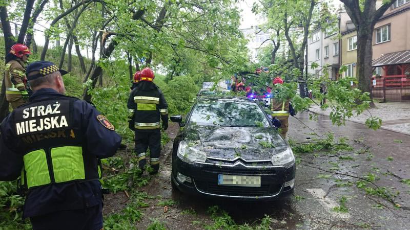 Drzewo runęło na samochód Warszawa W Pigułce