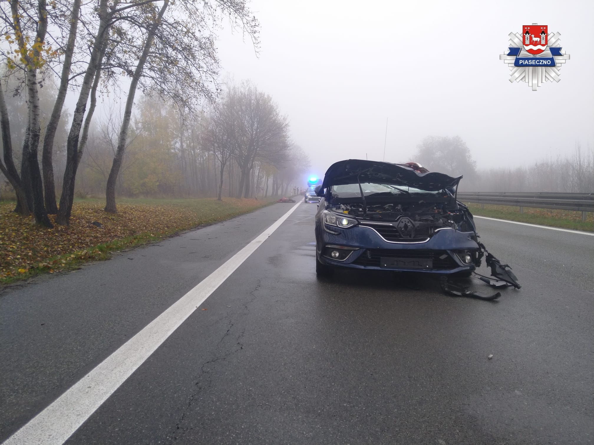 Tragiczny wypadek na S7 pod Warszawą. Rozpędzone konie zderzyły się z samochodami