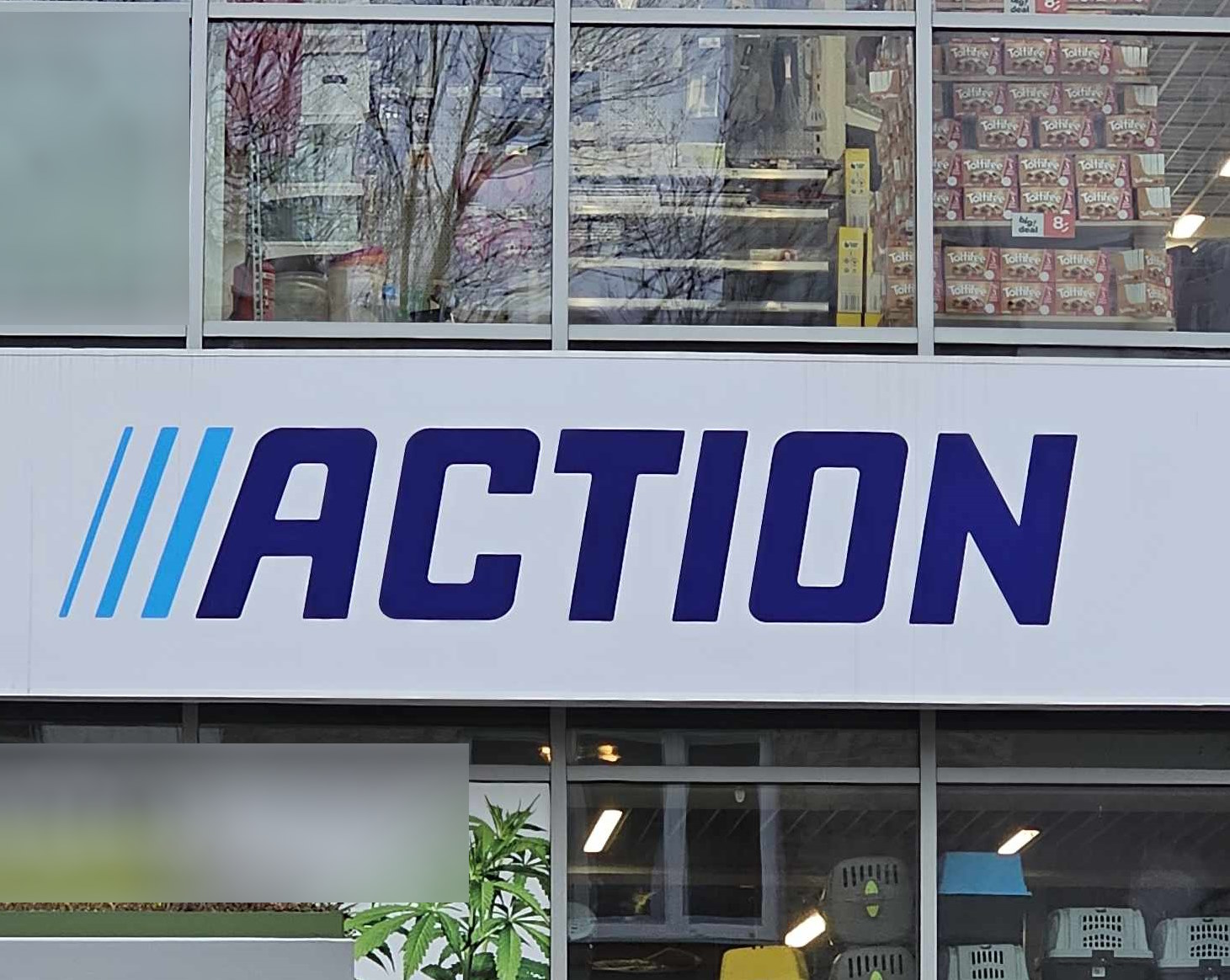 Ten zakup mógł trafić do tysięcy domów. Action wycofuje ten produkt