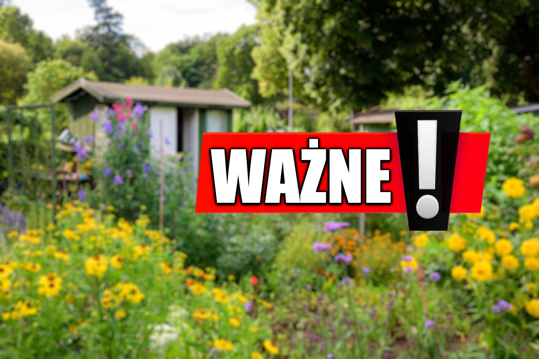 Surowe kary za zakazane rośliny w ogrodzie. choćby 1 000 000 złotych grzywny!