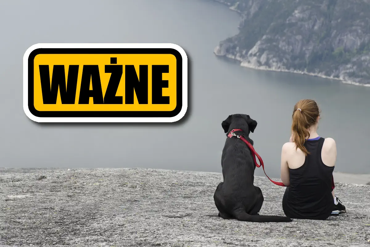 Nowa ulga dla właścicieli psów. Skarbówka oficjalnie potwierdziła: za niektóre wydatki na czworonoga państwo odda pieniądze