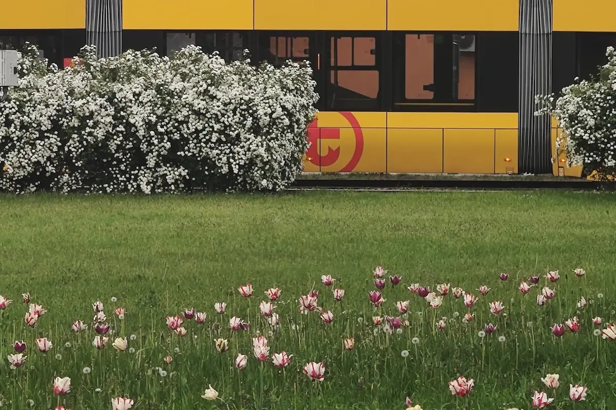 Koniec chłodnych nocy? Prognozy pokazują możliwe ocieplenie