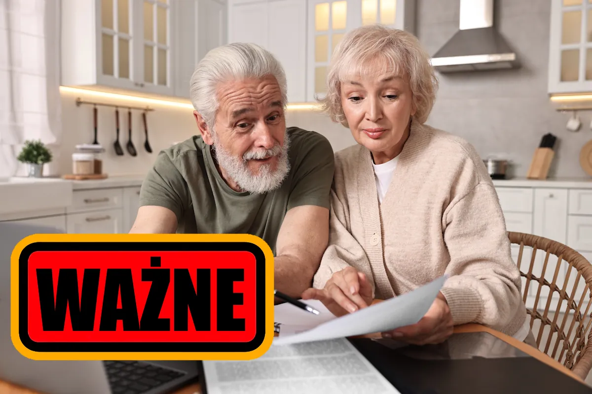 Rządowe pieniądze na stole. Seniorzy mogą zyskać ponad 2000 złotych. najważniejszy jest jeden warunek